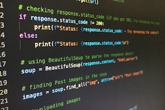do assignments in python language