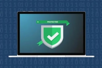 do wordpress malware removal,  hacked wordpress website security