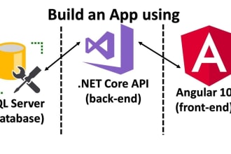 develop angular asp dotnet core web application