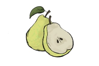 create a food illustration