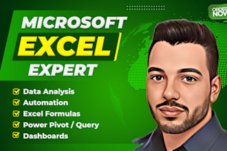be your microsoft excel expert and support you with your file