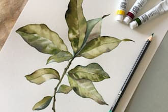 paint a watercolor botanical illustration of plants