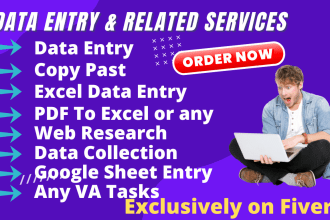 do data entry, web research, data mining and copy paste, any VA tasks