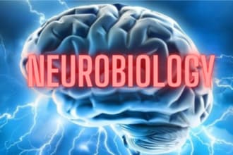 be your online tutor for neurobiology