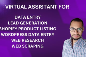 be personal virtual assistant for excel data entry, copy paste, typing, scraping