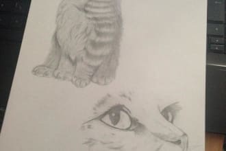 draw something in pencil, scan it and send to you
