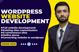 design wordpress website fix or repair your wordpress errors,