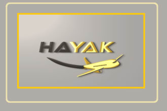 create modern high quality airline logo