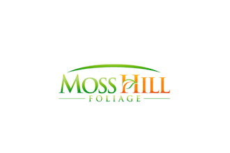 make luxury attractive moss hill foliage logo design service