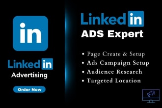 boost your business with a professional linkedin presence and ads campaign