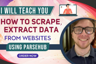 teach you how to scrape, extract data on websites