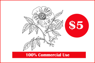 draw botanical illustration of flowers, plants, line art