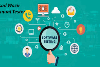 do QA beta manual testing of your website and software to make it bug free