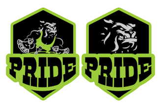 design a football, baseball, basketball, or sports logo