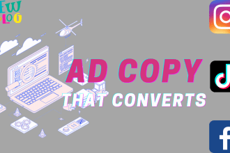 copywriting for your website or blog in 24 hours