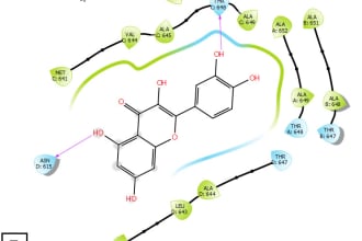 do professional molecular docking, virtual screening, admet prediction