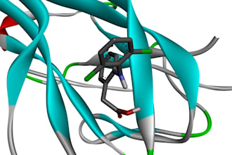 do molecular docking studies for a research article, drug discovery