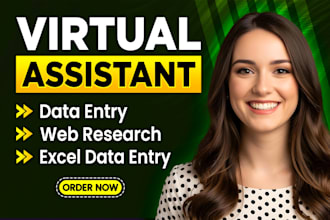 do accurate data entry, web research, copy paste and excel data entry jobs