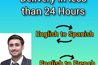 provide professional english to spanish and french translation