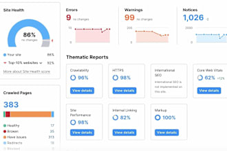 create an expert website SEO audit report with action plan