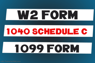 create w2, 1099, schedule c 1040 tax forms