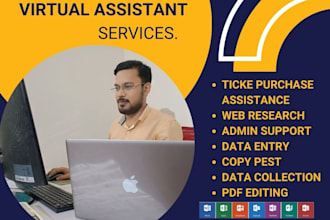 excel data entry, typing, copy paste, web research expert