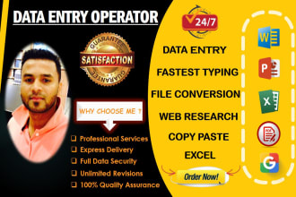 do professional data entry, typing, copy paste ,web research