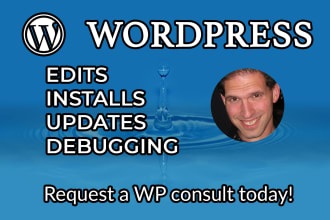 help you with your wordpress website