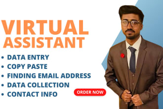 do excel data entry, data mining, copy paste typing work, finding emails adress
