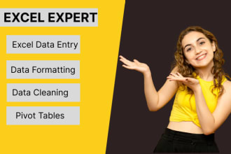 do excel data entry, formatting, cleaning,  merge,