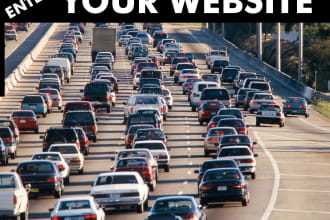 teach you how to get massive traffic at cheap price