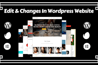 update or edit wordpress website quickly