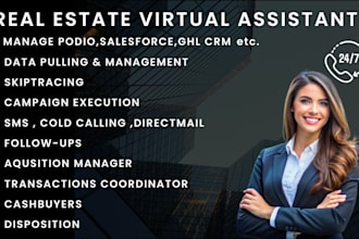 be your professional real estate virtual assistant