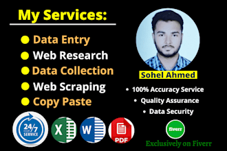 do data entry, web research, web scraping and copy paste
