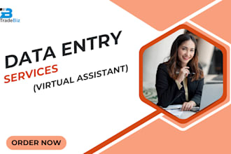 do data entry, collection, web research, file conversion and lead generation