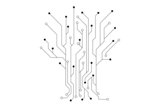 do your circuit design project