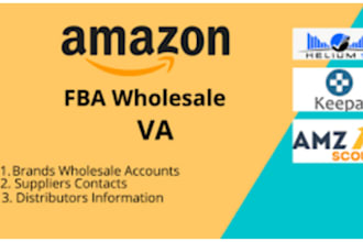 manage amazon fba store for wholesale