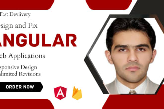 develop and optimize angular single page applications