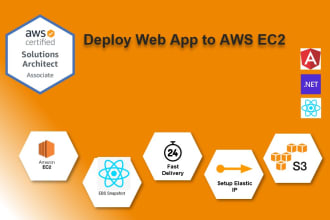 deploy web application to AWS ec2, angular, dot net, react