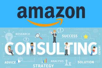 provide amazon fba selling consultation regarding any seller account issues