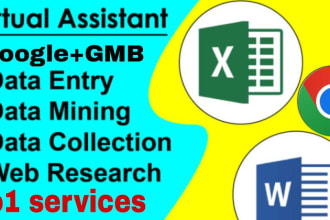 do data entry, data collections, data cleaning into excel