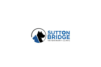 design amazing better best vets logo for you
