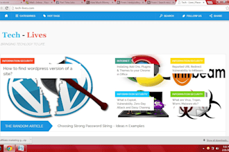 set up a WordPress blog or a Website