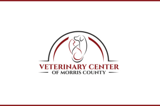 create modern  dog, pet and animal logo