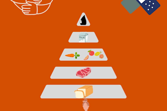 provide you with health and wellness guidelines