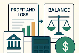create profit and loss and balance sheet statement for business or personal need