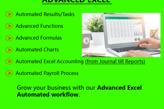 create automated balance sheet profit and loss statement