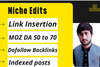 do link insertion niche edits on high da websites
