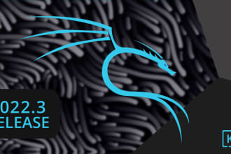 setup and teach kali linux on both dual boot and virtualbox