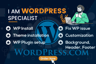 install, theme customize, add plugin your wordpress website